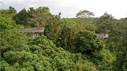 Turaco Treetops Panoramablick