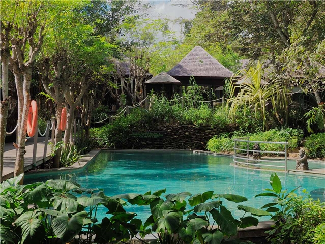 The Menjangan