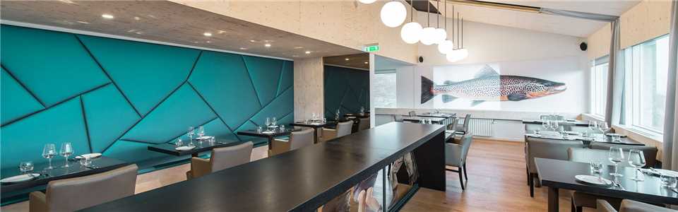 Ion Advanture Hotel Restaurant