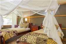 Ishasha Wilderness Camp Doppelzimmer