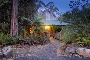Treetop Entry