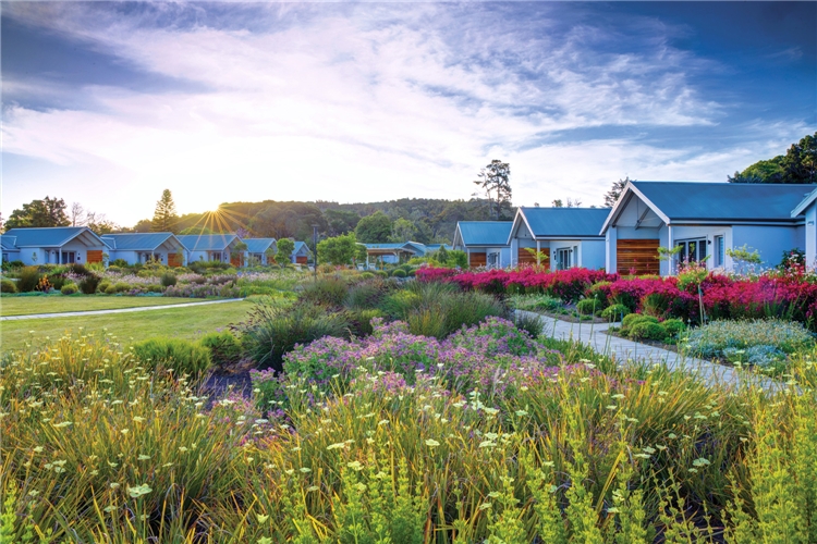 Knysna Hollow Country Estate_Außenansicht