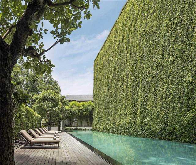 137 Pillars House Chiang Mai Pool