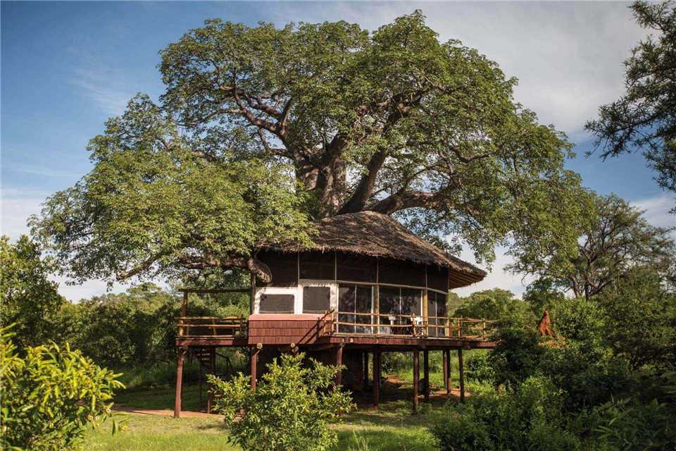 Tarangire Treetops Außenansicht