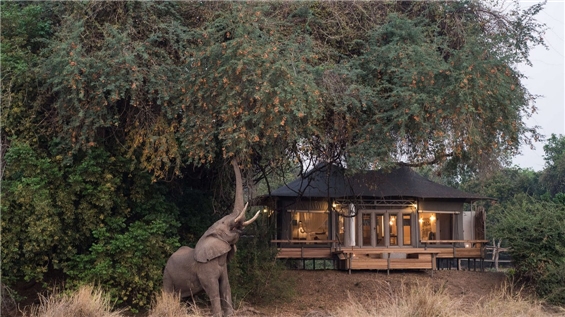 Chikwenya Camp Ansicht