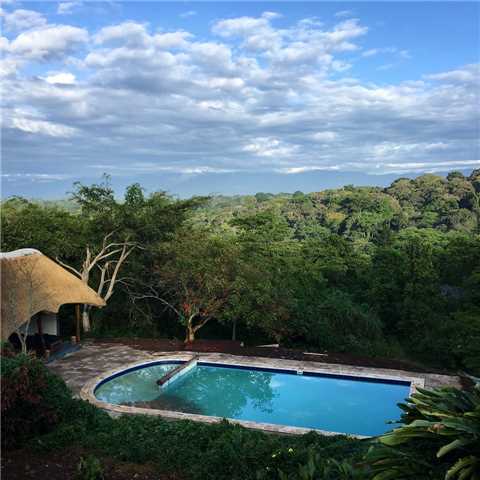 Turaco Treetops Pool