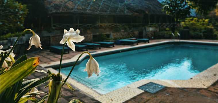 Spice Village Pool