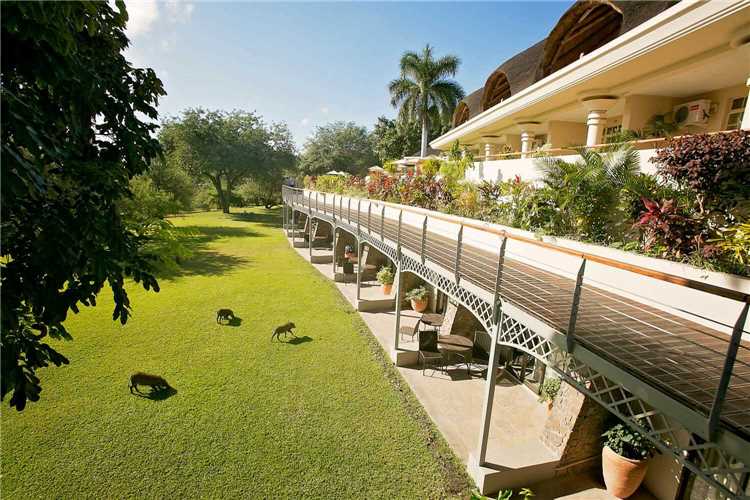 Ilala Lodge Terrassen