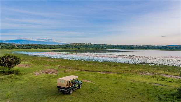 Mweya Safari Lodge Safari