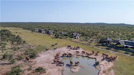Jamala Madikwe Royal Safari Lodge Lodge Aussicht