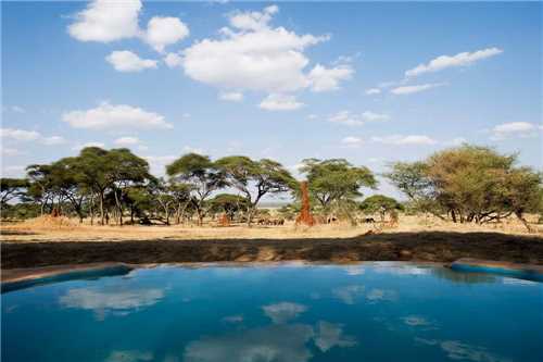 Sanctuary Swala Camp Ausblick