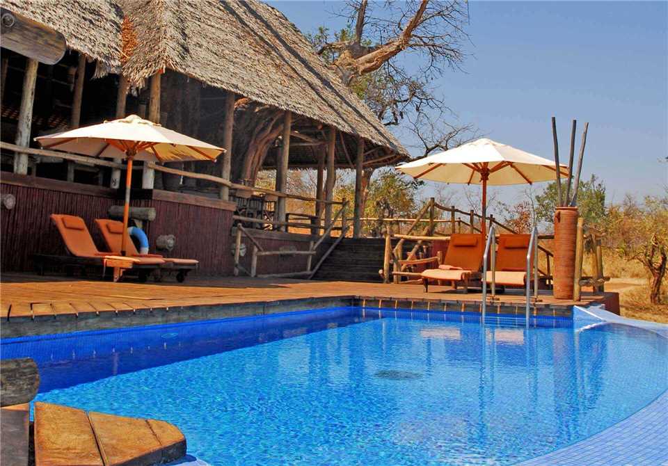 Tarangire Treetops Pool