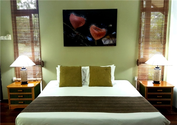 Mulu Nationalpark Zimmer