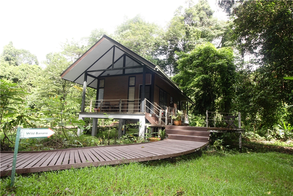 Ansicht vom Mulu Nationalpark