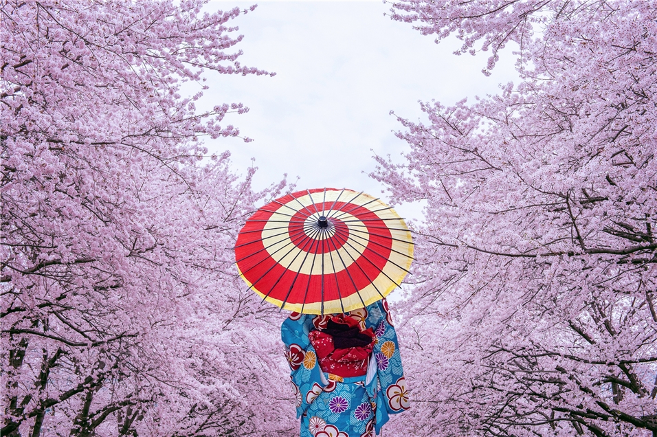 Discover Japan - Geisha