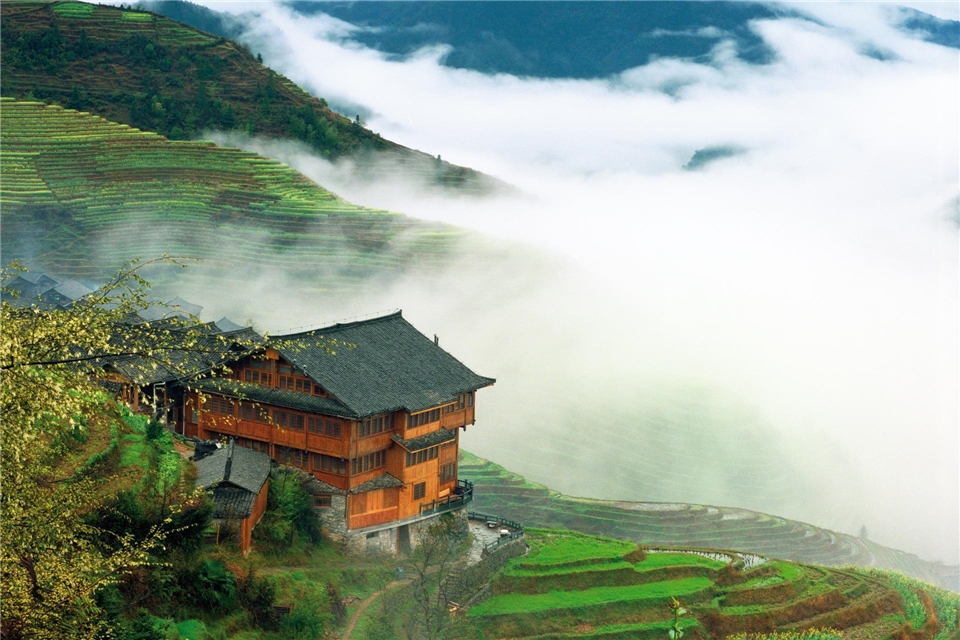 China - Haus im Reisfeld