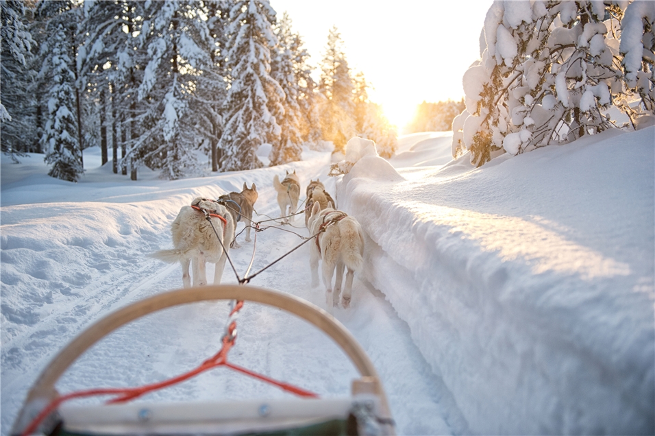 Huskie