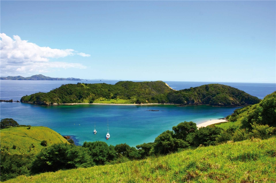 Neuseeland - Gruene Natur in Neuseeland mit Blick auf den Ozean