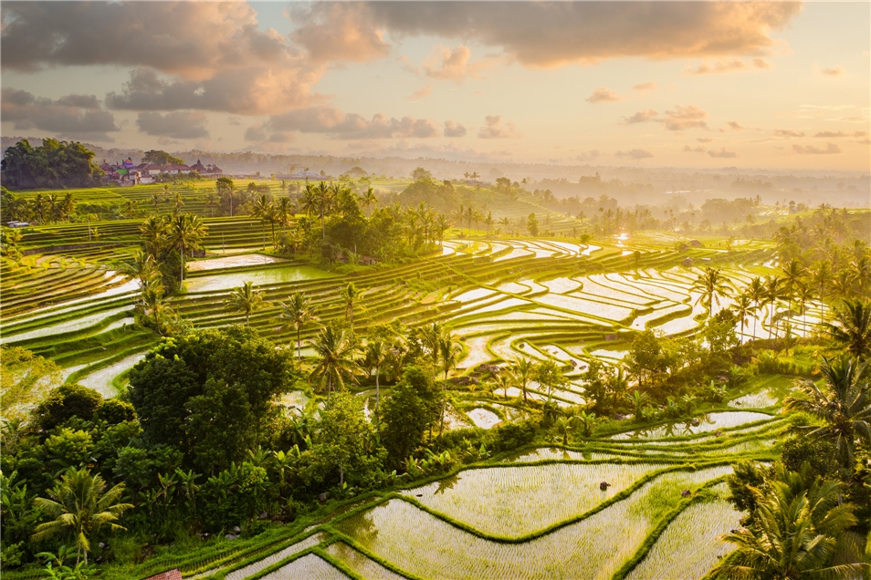 Panorama Indonesien Jatiluwih Reisfelder