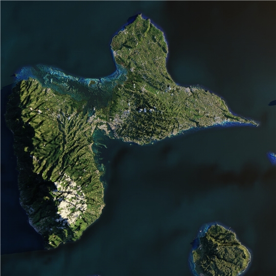Schmetterlingsinsel Guadeloupe