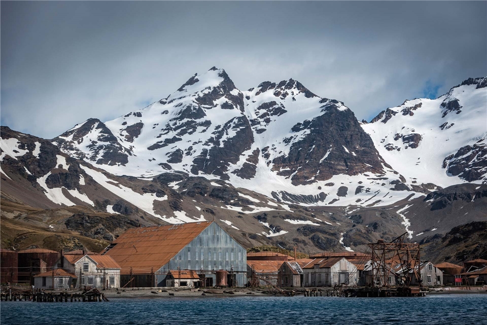 Antactica 21 Magellan Explorer Südgeorgien Panorama
