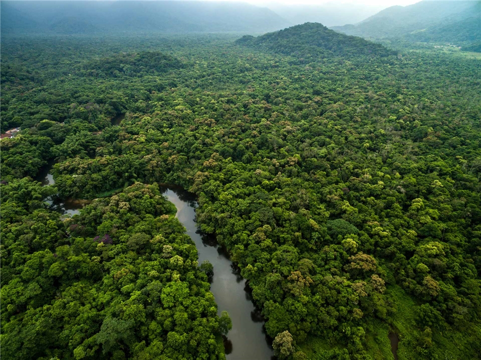 Amazonas - Amazonas Fluss