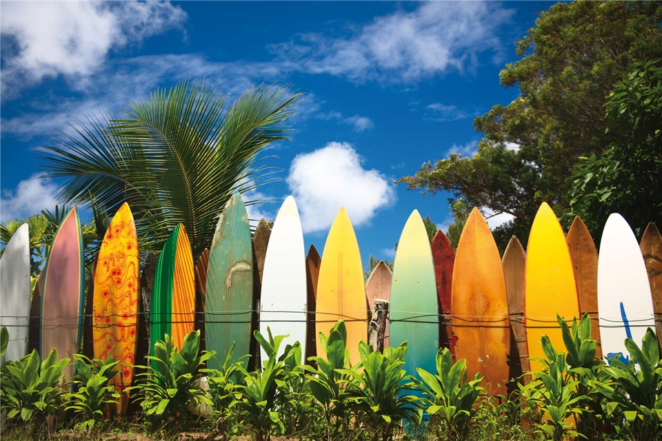 Hawaii - Surfbretter