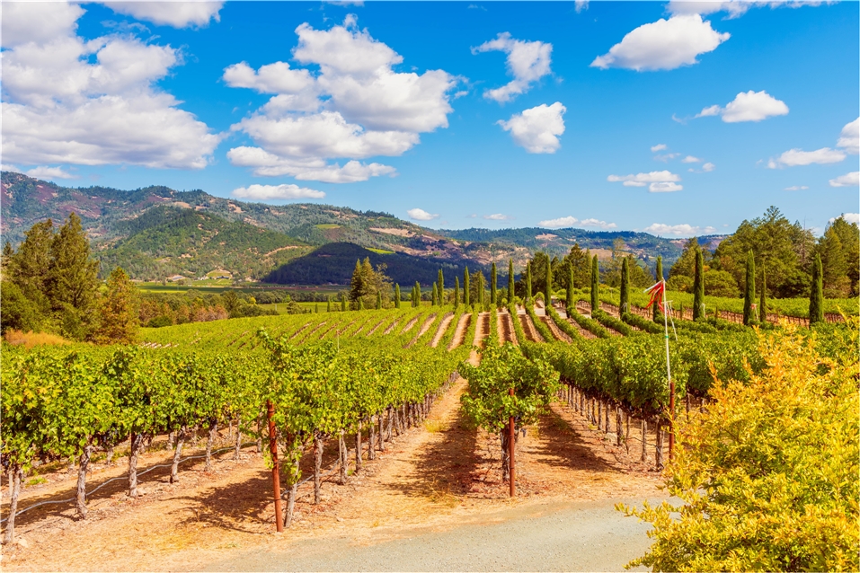 Napa Valley