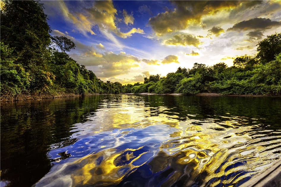 Amazonas