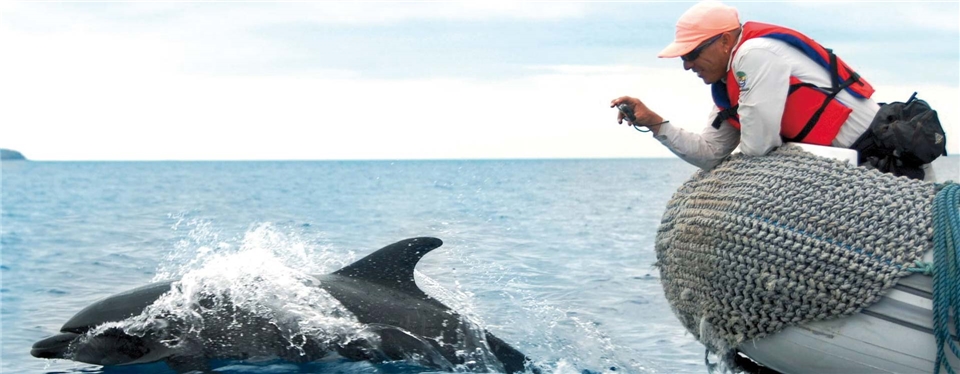 Galapagos Ecuadors Arche Noah Delfin und ein Schlauchboot