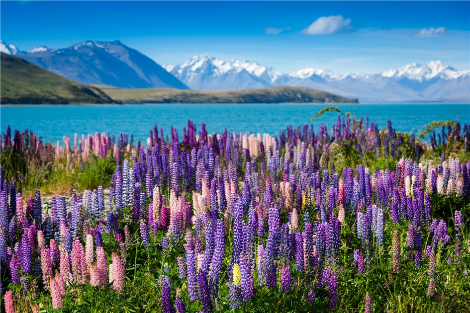 Lake Tekapo